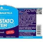 Prostata Stem, 120 Kapseln, Herbagetica