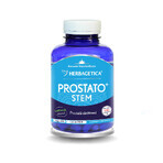 Prostata Stem, 120 Kapseln, Herbagetica