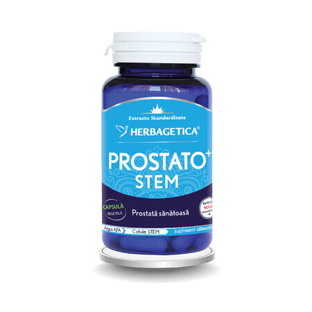 Prostata Stem, 60 Kapseln, Herbagetica