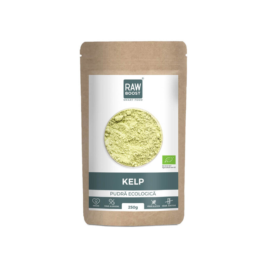 Premium Kelp Rohpulver, 250 g, RawBoost