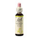 Flower Remedy Clematis Original Bachbl&#252;ten, 20 ml, Rescue Remedy