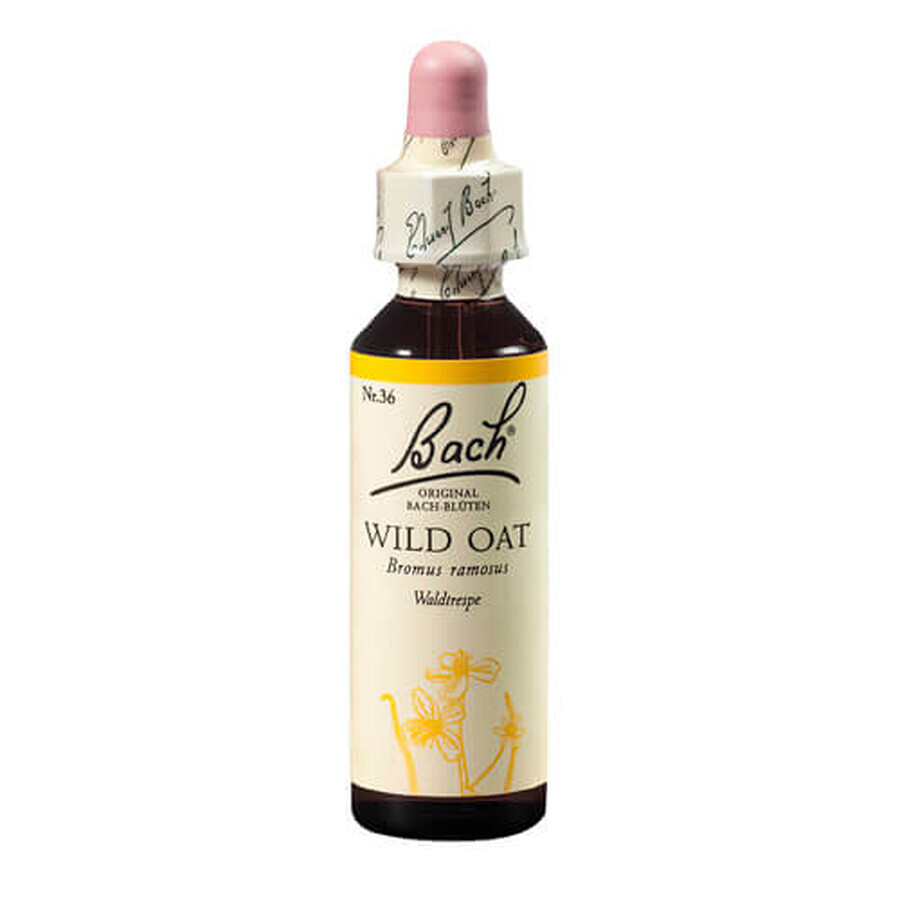 Remediu floral picaturi ovaz salbatic Wild Oat Original Bach, 20 ml, Rescue Remedy