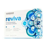 Reviva Mindbalance, 30 Kapseln, Pharmnet