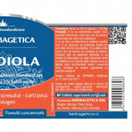 Rhodiola, 120 Kapseln, Herbagetica