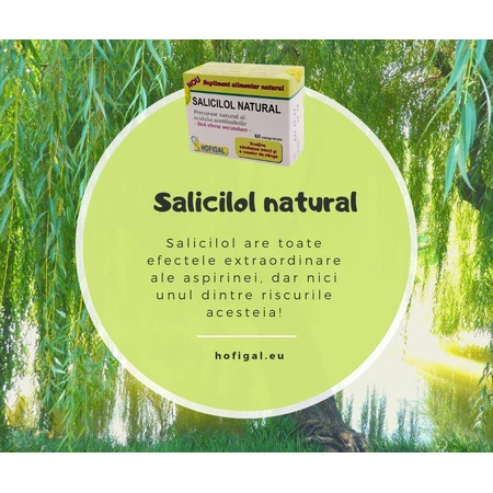Salicilol Natural, 60 tablets, Hofigal