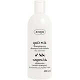 Shampoo zur Stärkung der Haare mit Ziegenmilch und Keratin, 400 ml, Ziaja