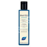 Shampoo für fettiges Haar zur häufigen Anwendung Phytopanama, 250 ml, Phyto