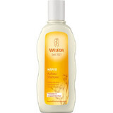 Sampon regenerant cu ovaz, 190 ml, Weleda