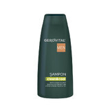 Shampoo für den täglichen Gebrauch Gerovital Men, 400 ml, Farmec