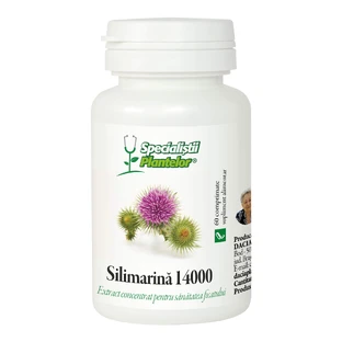 Silymarin 14000, 60 tablets, Dacia Plant