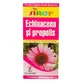 Echinacea en propolis siroop, 200ml, Elidor