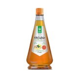 Zitronen-Ingwer-Sirup, 520 ml, Divine Star