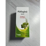 Patlagin syrup, 100 ml, Vitalia