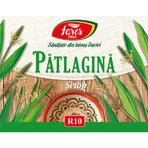 Patella syrup, R10, 250 ml, Fares