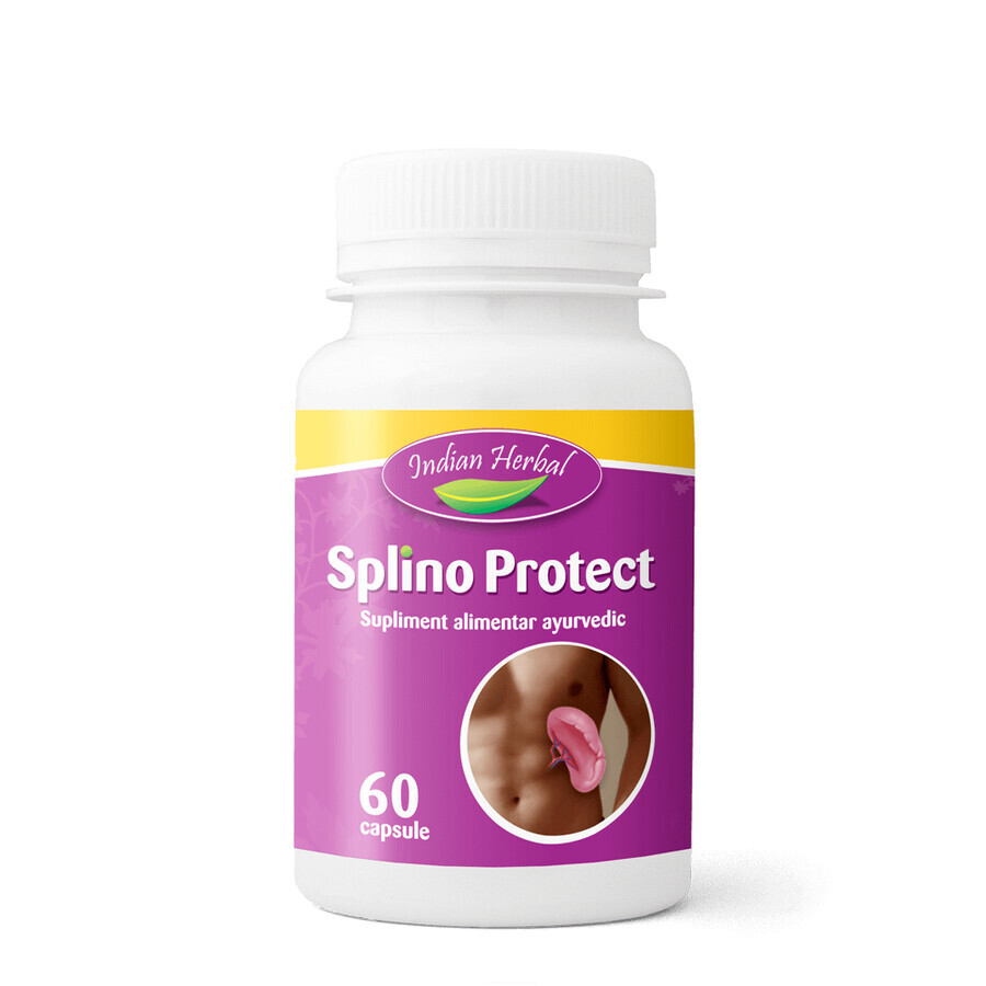 Splino Protect, 60 capsule, Indian Herbal