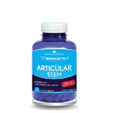 Herbagetica Articular Stem, 120 Kapseln