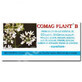 Comag Plant B Z&#228;pfchen, 10 St&#252;ck, Elzin Plant