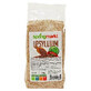 Tarate de Psyllium, 150 g, Spring Markt