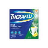 Theraflu Erkältungs- und Grippemittel, 10 Beutel, Gsk