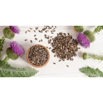 Teinture d'Armouraria, 50 ml, Plante Dacia