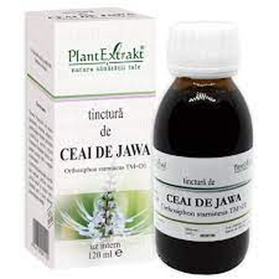 Jawa Tea Tincture, 120 ml, Plant Extrakt