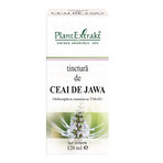 Jawa Tea Tincture, 120 ml, Plant Extrakt