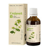 Tinctura de Cretisoara, 50 ml, Dacia Plant