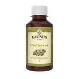 Cretisoara Tincture, 200 ml, Faunus Plant