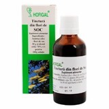 Tinctură de Flori de Soc, 50 ml, Hofigal