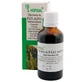 Patlagin-Tinktur, 50 ml, Hofigal