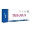 Tribulus, 60 Kapseln, Pro Nutrition