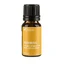 TURMERIC, essential oil (turmeric longa), 10 ml, Sabio