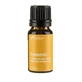 TURMERIC, essential oil (turmeric longa), 10 ml, Sabio
