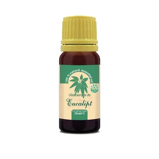 Eucalyptus essential oil, 10 ml, Herbavit