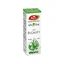 Eucalyptus etherische olie, R19, 10 ml, Fares