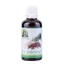 Parsley oil, 50 ml, Carmita Classic