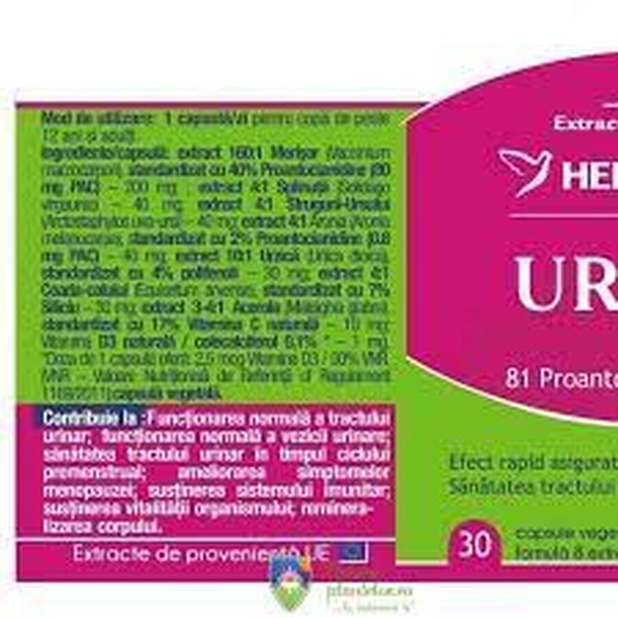 Urimer Akut, 30 Kapseln, Herbagetica