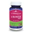 Urimer Akut, 30 capsules, Herbagetica
