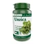 Nettle, 60 capsules, Pro Natura