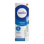 Vibrocil Actilong Nasenspray, 10 ml, Gsk