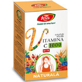 Vitamina C 1000 natural F175, 10 sobres, Fares