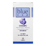 Șampon Blue Cap, 75 ml, Catalysis