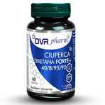 Ciuperca tibetana forte, 60 capsule, Dvr Pharm