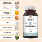 Collageen type 2 voor gewrichten, botten, huid en haar Colagenus, 60 capsules, Faunus Plant