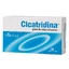 Cicatridina vaginal ovules, 10 pieces, Miralex