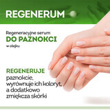 Regenerum, suero regenerador de uñas, 5 ml