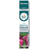 Himalaya Dental Cream, toothpaste with neem and pomegranate, 100 g