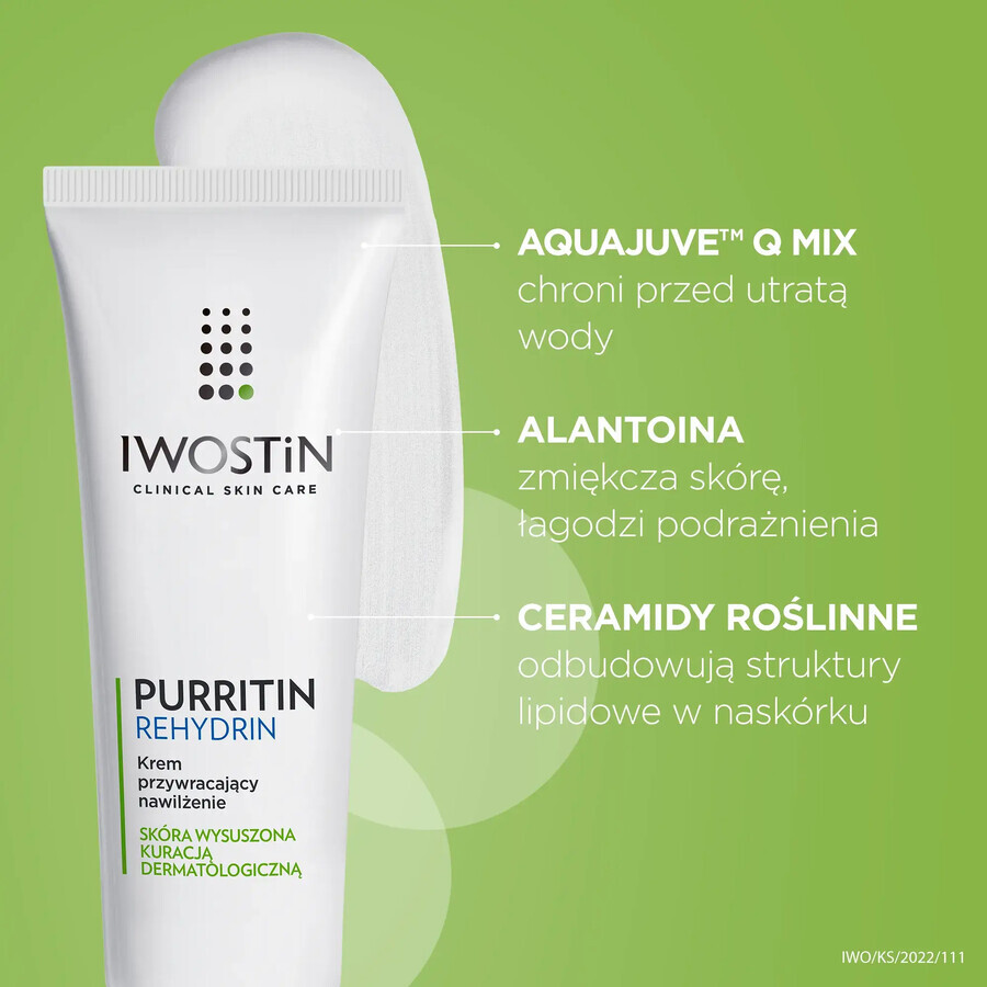 Iwostin Purritin Rehydrin, Repairing moisturizing cream, dry skin from dermatological treatments, 40 ml