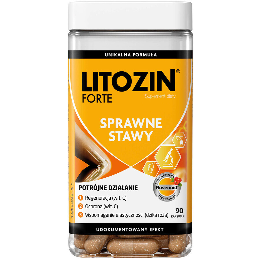 Litozin Forte 90 Kapseln