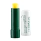 Lippenbalsam mit Birkenextrakt  amp; Betulin - Naturkosmetik für geschmeidige Lippen
